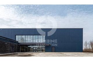 Gewerbeimmobilie mieten in 85452 Moosinning, Hochregallager mit ca. 2.000 m² in Flughafennähe zu vermieten - combine Transaction