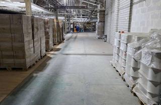 Gewerbeimmobilie mieten in Industriestr. 10, 76547 Sinzheim, Lagerhalle zu Vermieten