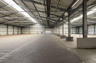 Gewerbeimmobilie mieten in Franz-Kirrmeier Str. 22, 67346 Speyer, Lagerhalle in Speyer