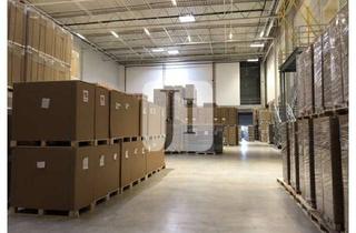 Büro zu mieten in 04758 Oschatz, ca. 6.200 m² Hallenfläche, ca. 680 m² Büro, ca. 15.000 m² Freifläche