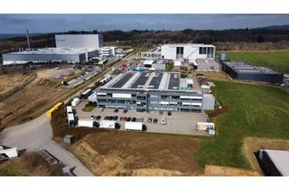Gewerbeimmobilie mieten in 58540 Meinerzhagen, Lager-/Produktionshalle 600 m² | 2 Rolltore | Vordach | Nähe A45