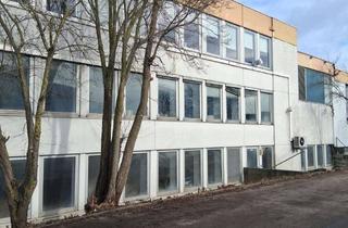 Gewerbeimmobilie mieten in 85077 Manching, Kalthalle/Lagerhalle in top Lage !