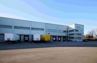 Gewerbeimmobilie mieten in Westerwaldstraße, 64646 Heppenheim, Freie Palettenstellplätze in 64646 Heppenheim