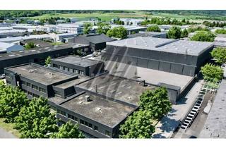 Büro zu mieten in 65439 Flörsheim, RAMPE + EBEN ✓ Lagerflächen (2.800 m²) & Büroflächen (300-800 m²) zu vermieten
