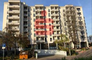 Anlageobjekt in 67227 Frankenthal, Kapitalanlage - Wohnung in der Frankenthaler Sonne