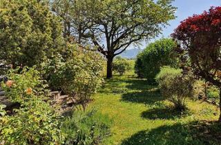 Grundstück zu kaufen in 68542 Heddesheim, Grundstück in ruhiger Sackgasse mit Blick ins Grüne - Neubaupotenzial in Heddesheim