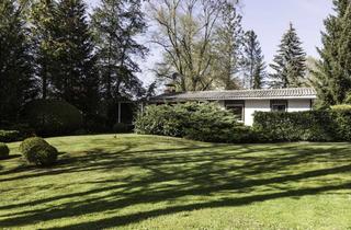 Grundstück zu kaufen in 08543 Pöhl, wunderschönes Wochenendgrundstück