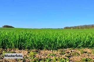 Grundstück zu kaufen in Die Leiten U. A., 91362 Pretzfeld, Land- und Forstwirtschaftsflächen