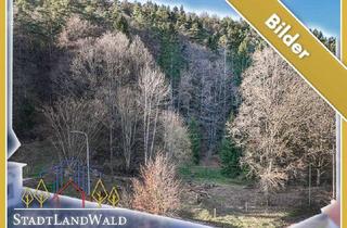 Grundstück zu kaufen in 67471 Elmstein, Außergewöhnlicher und großer Bauplatz mit eigenem alten Mischwald in Elmstein/Schafhof