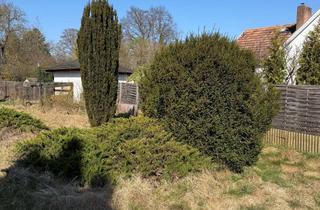 Grundstück zu kaufen in 15566 Schöneiche, Kein Bauträger. Kein Blabla. Nur ein tolles Grundstück in Schöneiche bei Berlin.