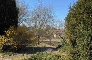 Grundstück zu kaufen in 15566 Schöneiche, Morgens Natur. Abends Hauptstadt. Dazwischen Ihr Zuhause in Schöneiche bei Berlin.