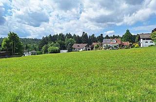 Grundstück zu kaufen in 72178 Waldachtal, *In einer der schönsten Lagen des Nordschwarzwaldes* Großes Baugrundstück in Lützenhardt
