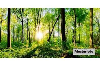 Grundstück zu kaufen in Bergwerkstraße, 53894 Mechernich, Unbebautes Grundstück/Forstwirtschaftsflächen