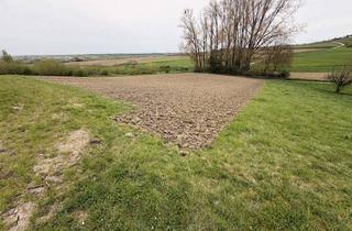 Grundstück zu kaufen in Auf Den Viermorgen, 55270 Ober-Olm, Idyllische Freizeitwiese in Ober-Olm