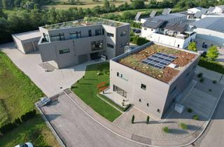 Büro zu mieten in Linsenäcker 18/1, 72379 Hechingen, Repräsentatives Büro mit 70 m² und einzigartigem Blick auf die Burg Hohenzollern