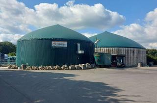 Immobilie kaufen in 32369 Rahden, Biogasanlage mit 5 Ha Ackerland, Schweine-Maststall, PV-Anlage und Nebengebäuden zu verkaufen!