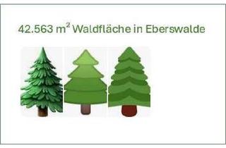Gewerbeimmobilie kaufen in 16225 Eberswalde, 42.563 m² Waldfläche in Eberswalde