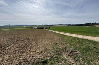 Gewerbeimmobilie kaufen in 94339 Leiblfing, Verkauf einer landwirtschaftlichen Fläche in Hailing