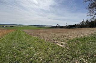 Gewerbeimmobilie kaufen in 94339 Leiblfing, Verkauf einer landwirtschaftlichen Fläche in Hailing