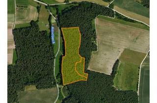Gewerbeimmobilie kaufen in 91580 Petersaurach, Großzügige, zusammenhängende Waldgrundstücke mit Zuwegung bei Großhaslach zu verkaufen