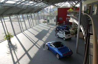 Gewerbeimmobilie kaufen in 41844 Wegberg, Auffälliger Gewerbestandort an der B57 – perfekt für Auto, Ausstellung & Events
