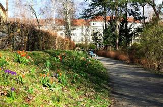 Wohnung kaufen in Brixplatz, 14052 Berlin, Nahe Brixplatz Westend: bezugsfreies, gepflegtes, teilmodernisiertes, gemütliches Altbauapartment