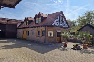 Wohnung mieten in Oberpforte, 55278 Dolgesheim, Wohnung/Haus in Dolgesheim, 3 Zimmer Küche Bad WC