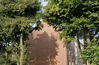 Wohnung mieten in 26954 Nordenham, Vollständig renovierte 3-Zimmer-Wohnung mit Balkon in Nordenham