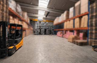 Gewerbeimmobilie mieten in 76316 Malsch, Sofort verfügbar - Hochwertige Lager-/Produktionsfläche mit Hallenkran zu vermieten!