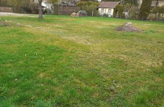 Grundstück zu kaufen in Birkenweg, 84183 Niederviehbach, Baugrundstück zwischen Landshut und Dingolfing