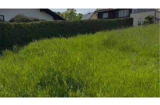 Grundstück zu kaufen in 53560 Vettelschoß, Traumhaftes Baugrundstück in Vettelschoß – 2.000 m² Naturidylle nahe dem Blauen See