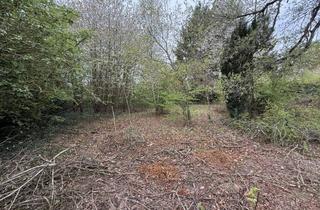 Grundstück zu kaufen in 65779 Kelkheim, Kelkheim: Hier erfüllen Sie Ihren Traum! Idyllisches Grundstück im Wochenendgebiet