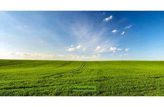 landwirtschaftliche Fläche kaufen in 25725 Schafstedt, 2 Landwirtschaftsflächen