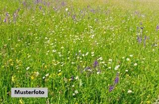 Immobilie kaufen in 55291 Ober-Saulheim, Landwirtschaftsflächen/Ackerland