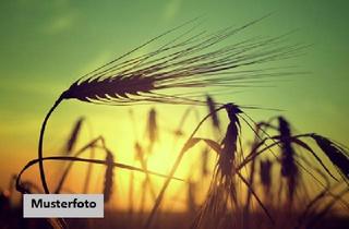 Immobilie kaufen in 79599 Wittlingen, Landwirtschaftsfläche