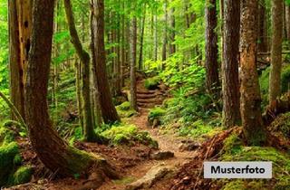 Immobilie kaufen in 96260 Weismain, Mehrere Forstwirtschaftsflächen - provisionsfrei