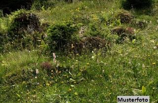 Immobilie kaufen in 19412 Brüel, Unbebautes Grundstück