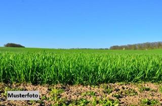 Immobilie kaufen in 97783 Karsbach, Land- und Forstwirtschaftsflächen - provisionsfrei