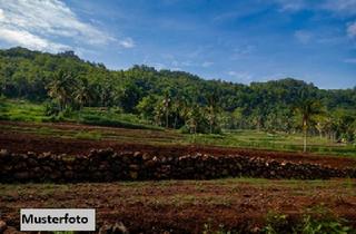 Immobilie kaufen in 03103 Bahnsdorf, 3 unbebaute Grundstücke