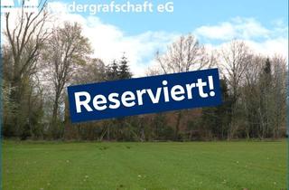 Lager kaufen in Meppener Straße 151, 49824 Ringe, Resthof mit Nebengebäuden - reserviert -