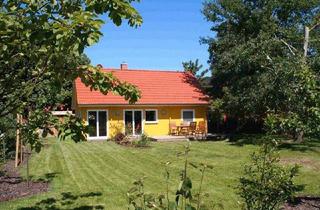 Haus kaufen in 18375 Ostseebad Prerow, Prerow - Provisionsfrei: Idyllisches Holzhaus im Ostseebad Prerow