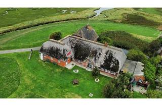Haus kaufen in 25863 Langeneß, Langeneß - Einzigartiges Anwesen im Wattenmeer - 2 Häuser + Ferienvermietung