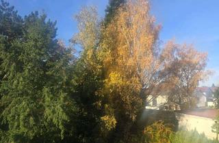 Wohnung kaufen in Am Setzen 00, 97469 Gochsheim, Balkon ins grüne, schöne Aussicht für Selbstrenovierer