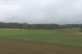 Wohnung mieten in 70771 Leinfelden-Echterdingen, Erstbezug mit Balkon: exklusive 5-Zimmer-Maisonette-Wohnung in Leinfelden-Echterdingen