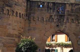 Wohnung mieten in 67251 Freinsheim, Neuwertiges 1 Zimmerappartment im Zentrum von Freinsheim