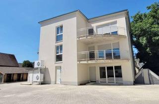 Wohnung mieten in 77948 Friesenheim, Helle moderne 2-Zimmer-Dachgeschosswohnung in Oberschopfheim