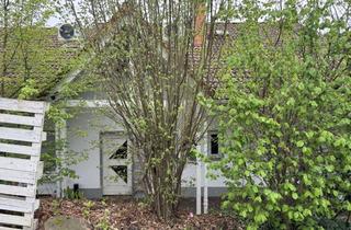 Wohnung mieten in Kirchbergstrasse 31, 64646 Heppenheim, Charmante 1-Zimmer Dachgeschosswohnung in Heppenheim (Bergstraße)