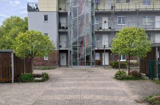 Wohnung mieten in Lübecker Straße 22d, 23843 Bad Oldesloe, Exklusive 4-Zimmer-Wohnung in Bestlage von Bad Oldesloe