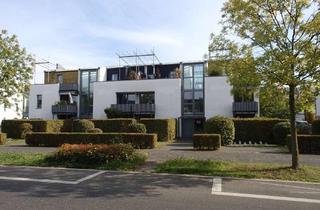 Wohnung mieten in Keramikerstr. 32, 53359 Rheinbach, 2 Zimmer Wohnung mit Dachterrasse in Rheinbach