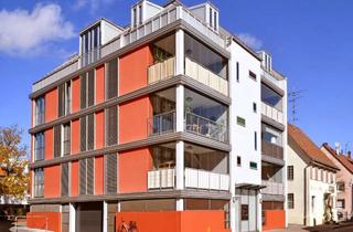 Wohnung mieten in Rabenstr. 36, 88471 Laupheim, Zentral gelegene 2 Zimmer - Wohnung im Herzen von Laupheim (EBK kann privat übernommen werden)